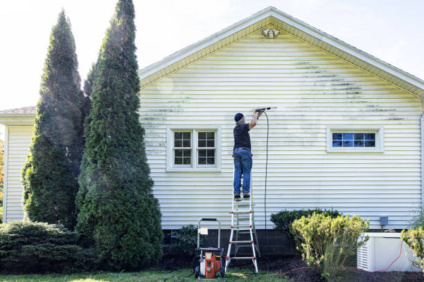 Best Roof Washing  in Fort Washakie, WY